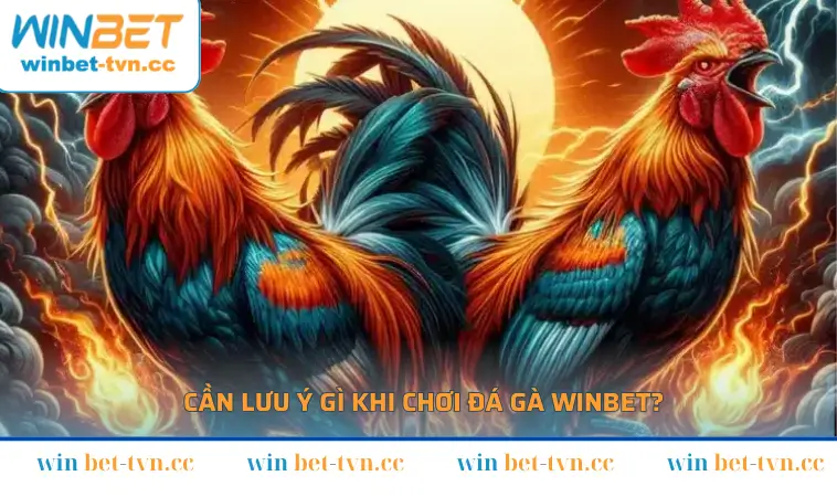 Khi tham gia chơi đá gà WINBET cần chú ý gì?