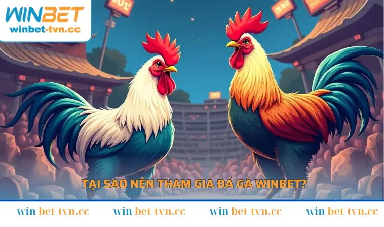 Đa dạng ưu điểm vượt trội khi bạn tham gia